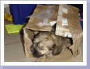Wann holt mich der Postbote ab? Wann holt mich der Postbote ab?